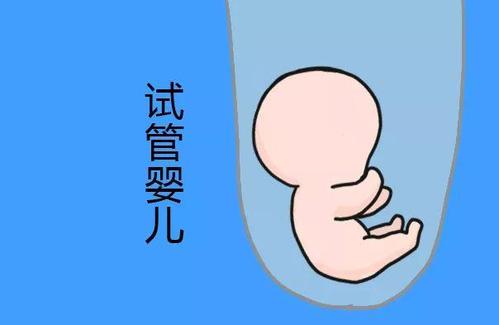 胚胎培养箱